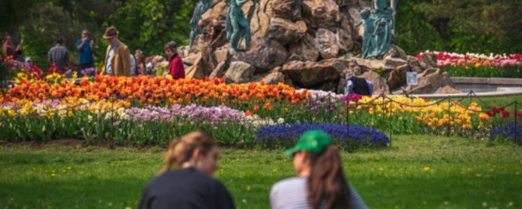 Annual Festivals In New York: Events, Tips, Calendar