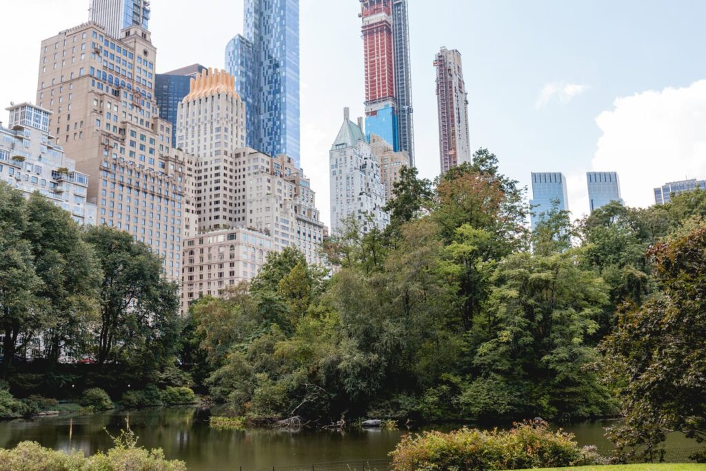 Best Things To Do In Central Park: A Local’s Guide